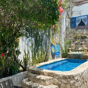 Гостевой дом Caribo, Косумель